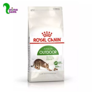 غذا خشک گربه ادالت خیابانی رویال کنین