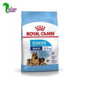 غذا خشک پاپی نژاد مکسی مدل استارتر