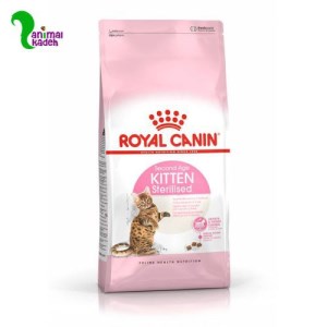 غذا خشک کیتن عقیم شده رند رویال کنین