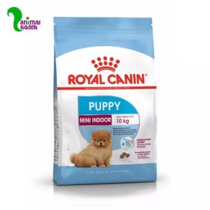 غذا خشک سگ پاپی خانگی نژاد مینی 