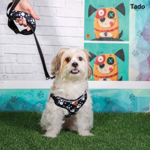 قلاده سینه ای طرح پنجه برند تادو