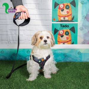 قلاده سینه ای طرح ستاره برند تادو