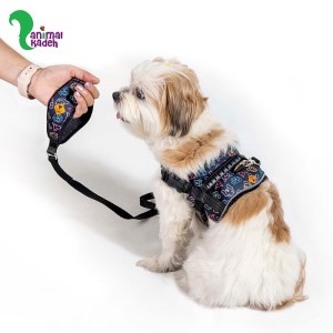 قلاده کمری تادو طرح سگ