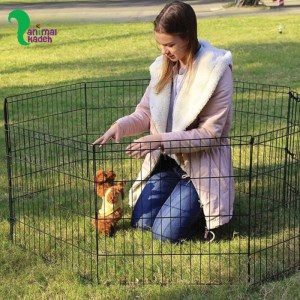 پارک سگ 8 ضلعی