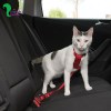 کمربند ایمنی ماشین مخصوص امنیت سگ و گربه داخل ماشین (لارج)