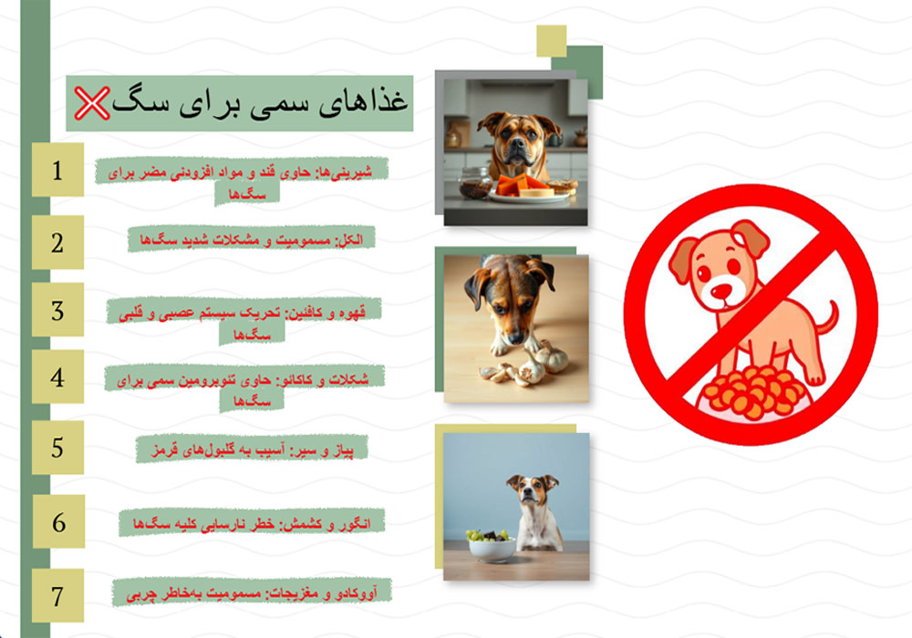 خوراکی های سمی برای سگ
