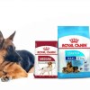 royal-canin-dog-food-3
