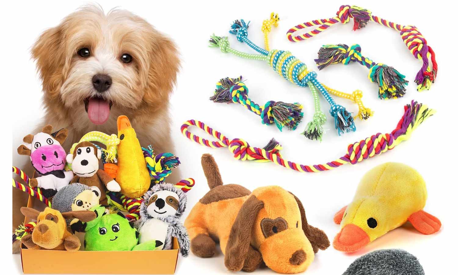 types-of-dog-toys