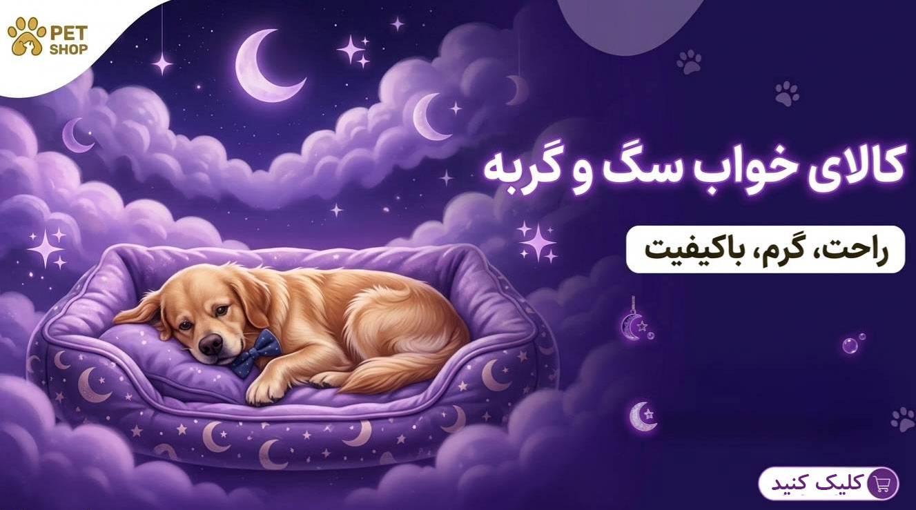اصاح_compressed