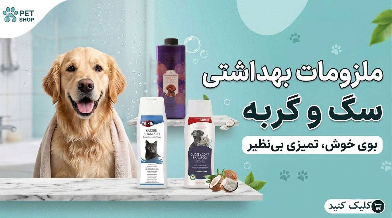 اصلاحی_compressed