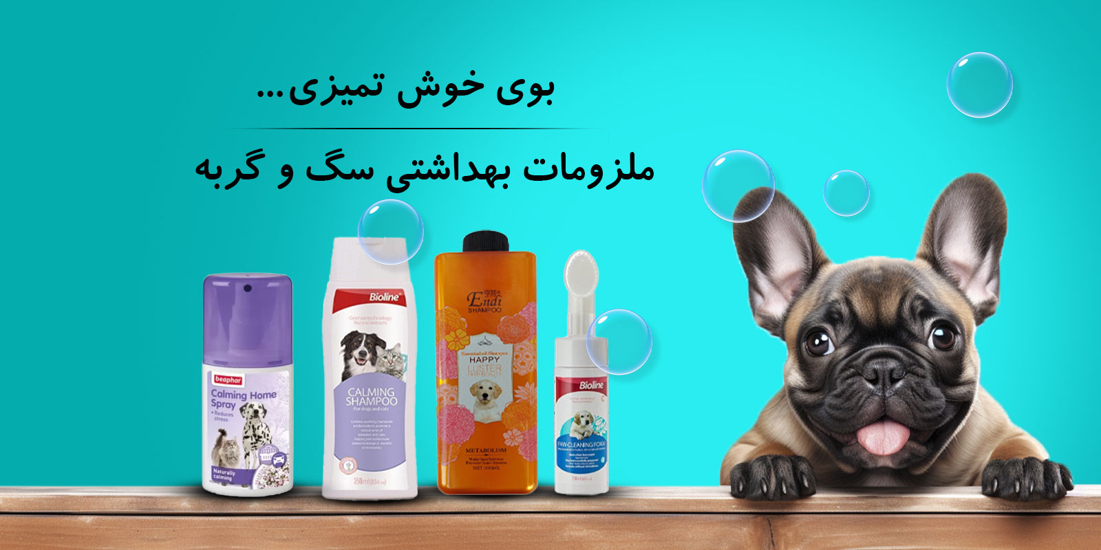 بهداشتی-سگ-بنر-دوم