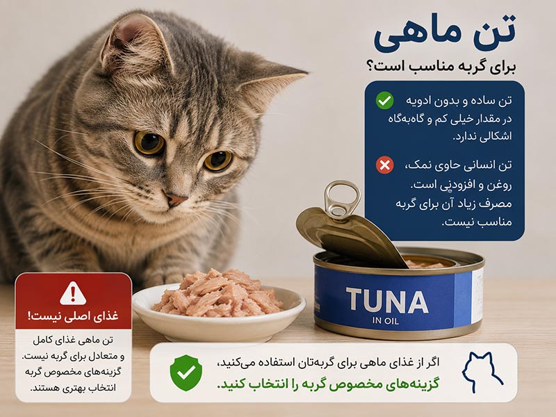تن-ماهی-برای-گربه