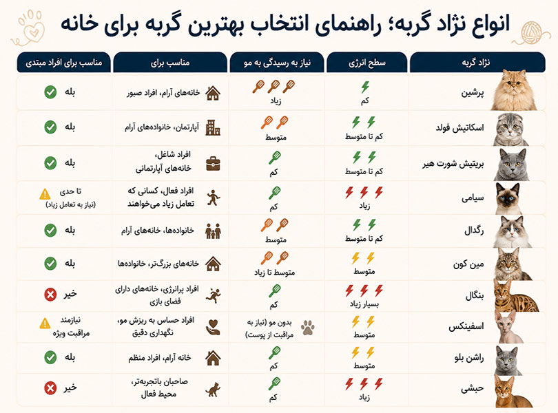 جدول-مقایسه-گربه جدول-انتخاب-گربه