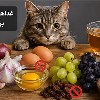 لیست-غذاهای-ممنوعه-برای-گربه