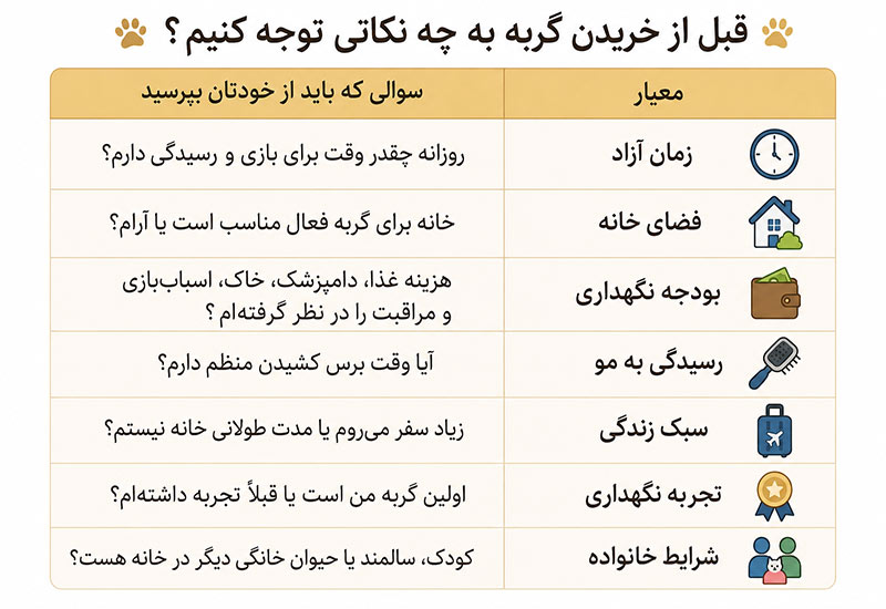 نکات-مهم-قبل-از-خرید-گربه نکات-مهم-قبل-از-خرید-گربه