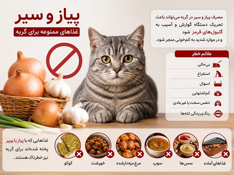 پیاز-و-سیر-غذای-ممنوعه-گربه