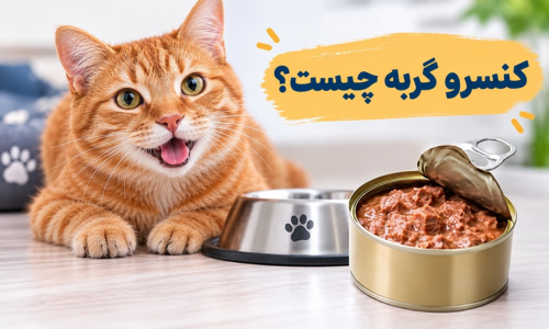 کنسرو گربه چیست؟ ترکیبات، فواید و طرز استفاده