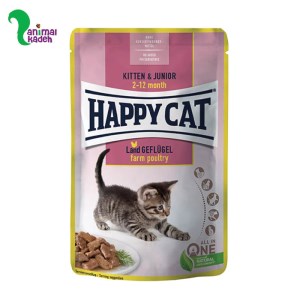 پوچ هپی کت کیتن طعم مرغ