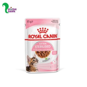 پوچ رویال کنین بچه گربه عقیم شده 